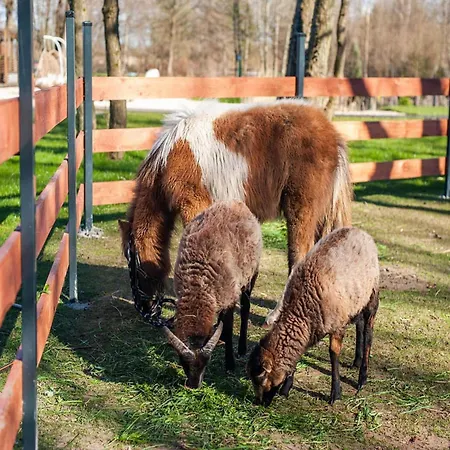 Cottages, Air Conditioning, Pool *