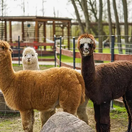 بيت للعطل Cottages, Air Conditioning, Pool نيخوجة