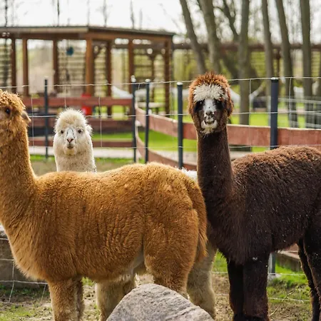 بيت للعطل Cottages, Air Conditioning, Pool *